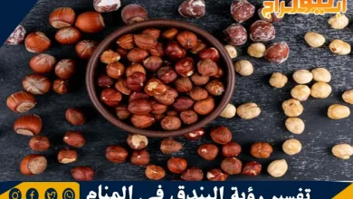 تفسير رؤية البندق في المنام