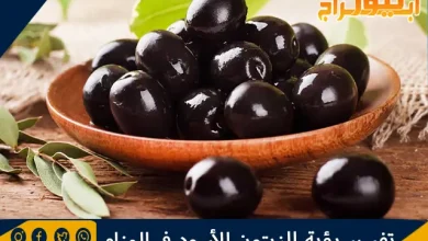 تفسير رؤية الزيتون الأسود في المنام بالتفصيل