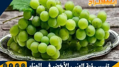 تفسير رؤية العنب الأخضر في المنام بالتفصيل