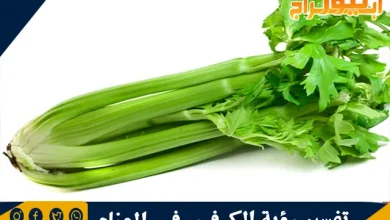 تفسير رؤية الكرفس في المنام