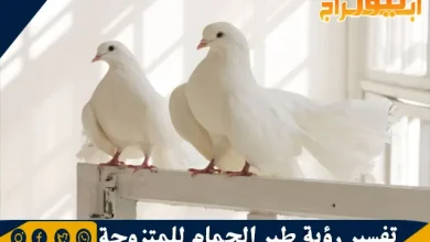 تفسير رؤية طير الحمام للمتزوجة