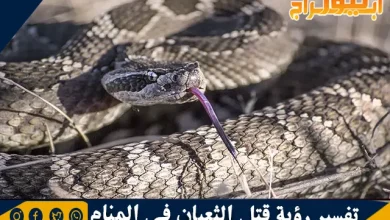 تفسير رؤية قتل الثعبان في المنام