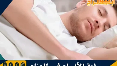 رؤية الأنبياء في المنام وحلم ذكر أسماء الأنبياء