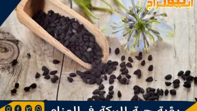 رؤية حبة البركة في المنام