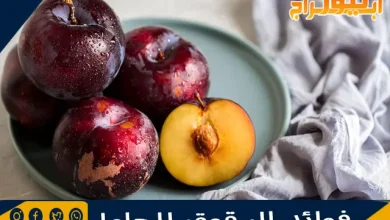 فوائد البرقوق للحامل