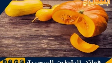 فوائد اليقطين السحرية