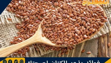 فوائد بذور الكتان لصحتك