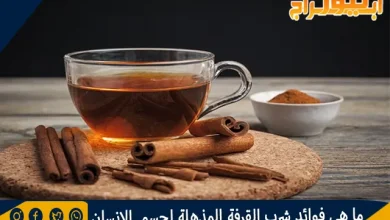 ما هي فوائد شرب القرفة المذهلة لجسم الانسان