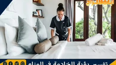 تفسير رؤية الخادمة في المنام ورمز الشغالة في الحلم