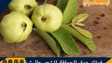 فوائد ورق الجوافة للشعر والبشرة