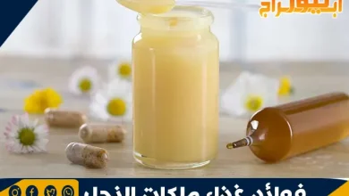 فوائد غذاء ملكات النحل والآثار الجانبية له