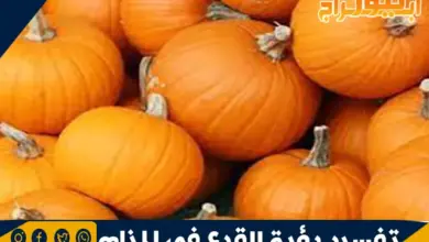 تفسير رؤية القرع في المنام