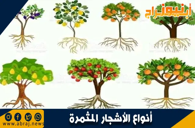 أنواع الأشجار المثمرة