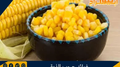 فوائد حبوب الذرة