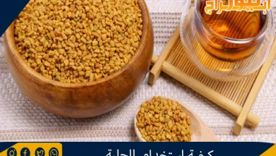 كيفية استخدام الحلبة